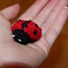 Beruška přívěšek na klíče (3 cm)