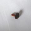 Bezpečnostní čumáček sametový 11 x 14 mm hnědý