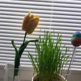 Návod - háčkovaný tulipán