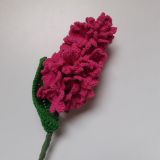 Návod - háčkovaný hyacint