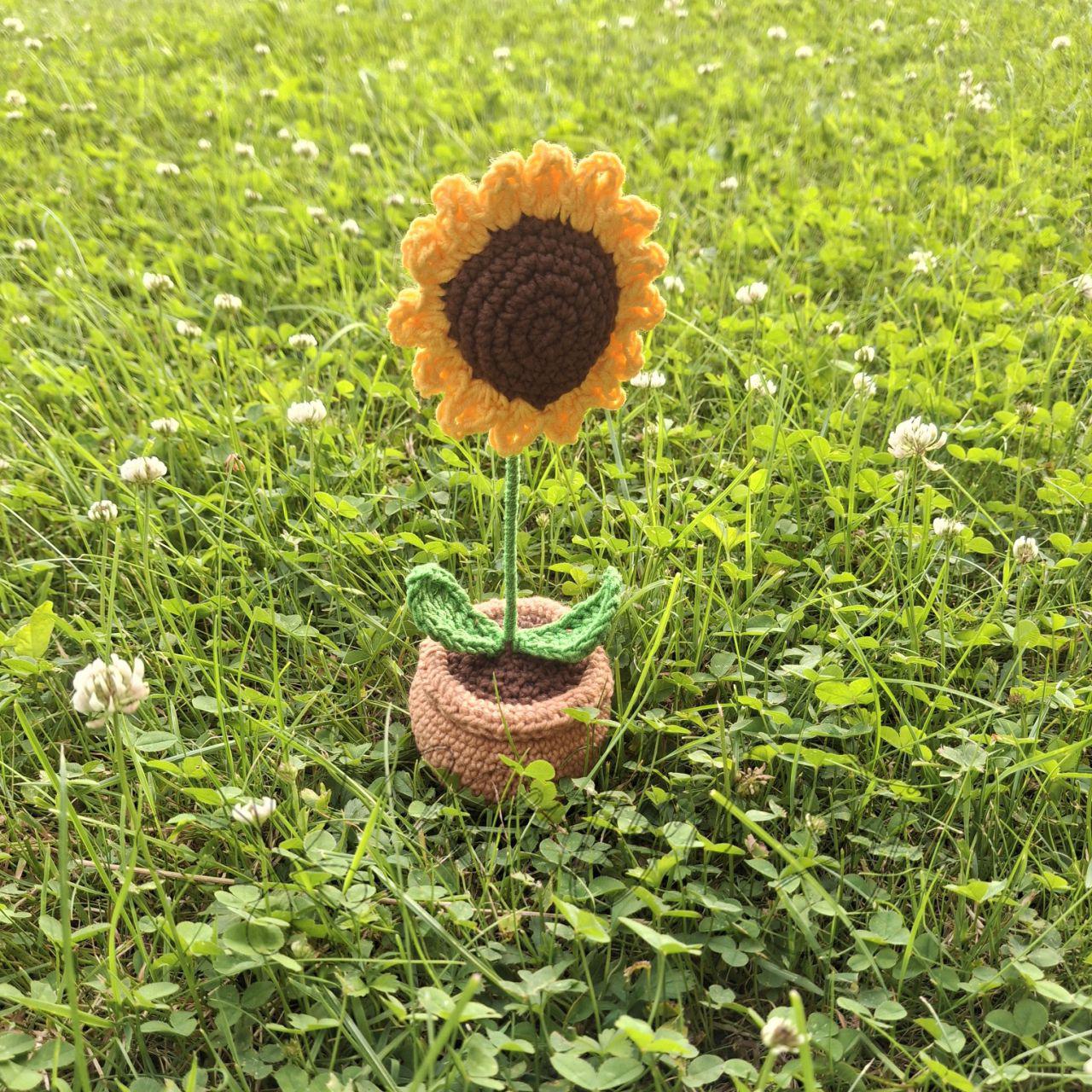 Návod - háčkovaná slunečnice